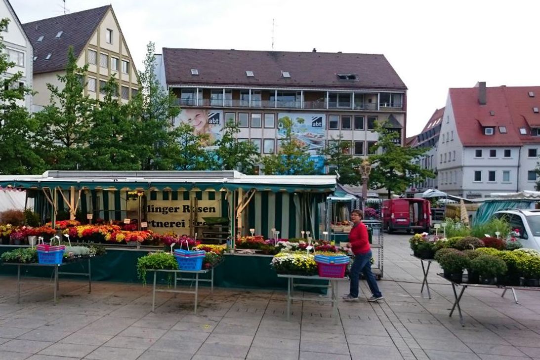 Gärtnerei Frey - Wochenmarkt